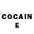 COCAIN Fish Scale Pavlentiii Polll