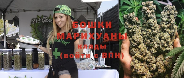 сатива Ельня
