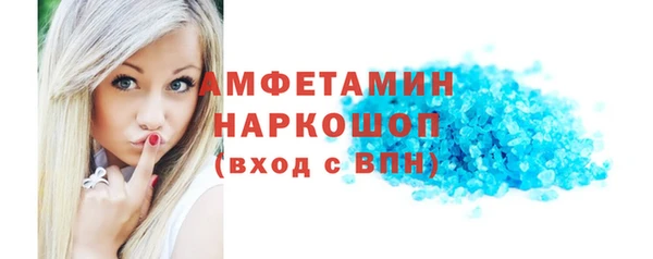 сатива Ельня