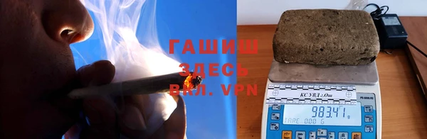 PSILOCYBIN Елабуга