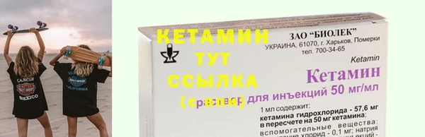 сатива Ельня