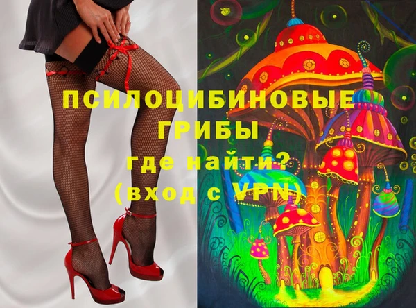СК Заволжск