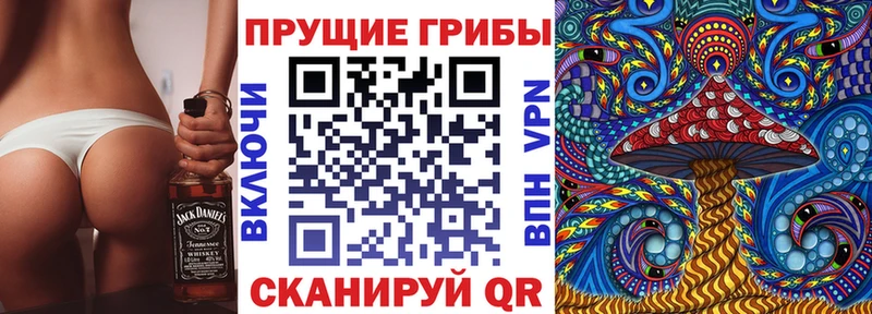 Купить где  Светлоград  Псилоцибиновые грибы мицелий 